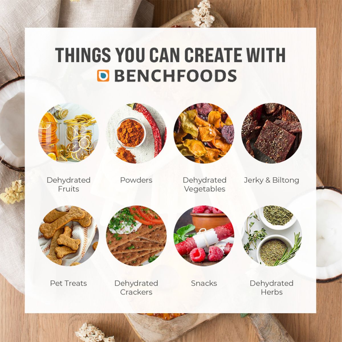 An infographic chart detailing the types of foods you can make with a BenchFoods dehydrator, showing circular icons for dehydrated fruits, powders, dehydrated vegetables, jerky and biltong, pet treats, dehydrated crackers, fruit leather snacks, and dehydrated herbs.