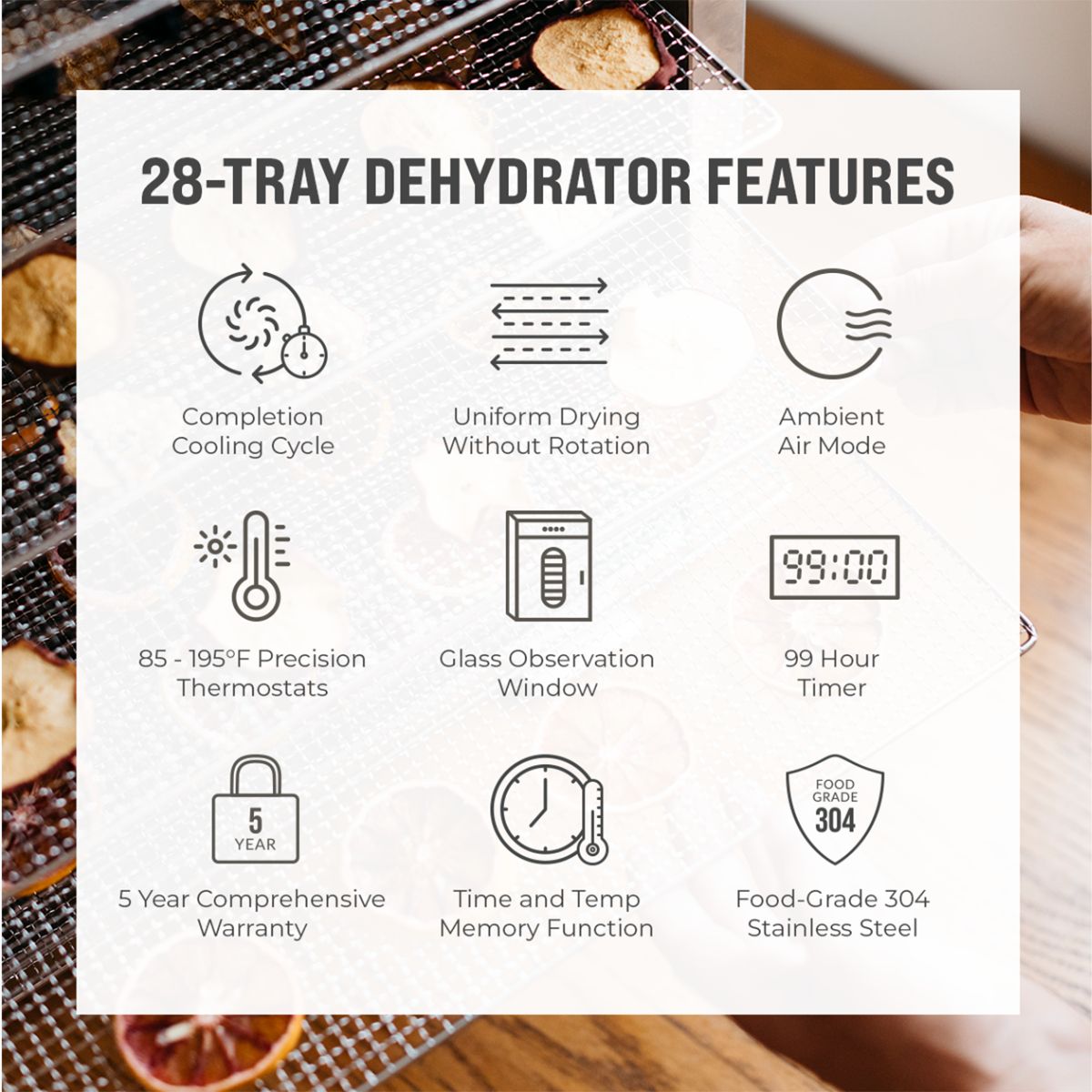 Features overview chart for the BenchFoods 28CUDG commercial biltong bundle dehydrator highlighting ambient air curing mode and multi-fan forced convection.