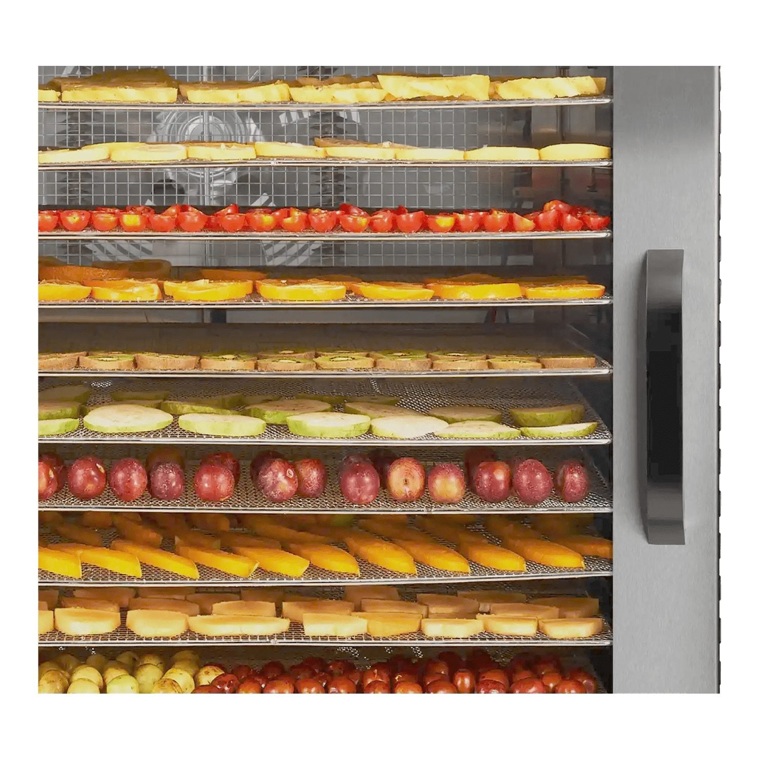 Close-up of dehydrated fruit trays and door handle on the BenchFoods 30CUDG commercial dehydrator